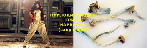 гидропоника Бородино