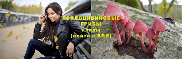 гидропоника Бородино